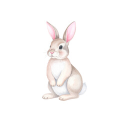 Obraz premium Cute white bunny animal with pink ears and an Easter egg, isolated on a white background