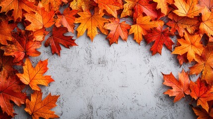 Obraz premium Autumnal maple leaves frame on gray background