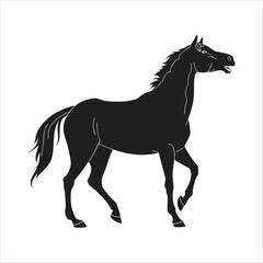 silhouette horse on white background