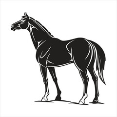 silhouette horse on white background