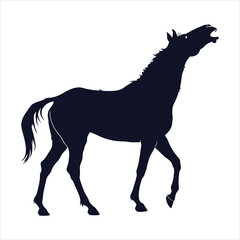 silhouette horse on white background