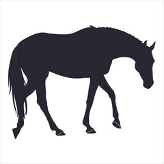 silhouette horse on white background