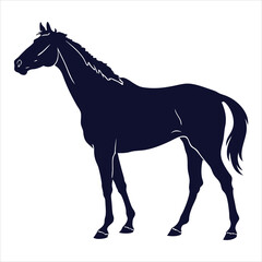 silhouette horse on white background