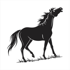 silhouette horse on white background