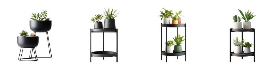 Modern indoor plant pots on shelves for home decor
