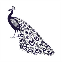 Fototapeta premium silhouette peacock on white background