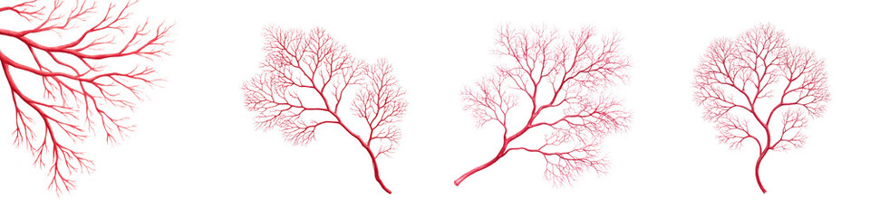 Obraz premium Abstract red tree branches