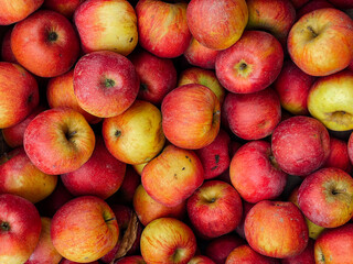 lots of berries apple for food as background