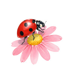 Ladybird landing on a pink flower, delicate moment. Watercolor style on canvas
