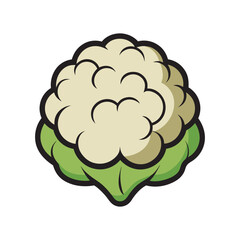 Cauliflower Illustration With Fine Vector Lines