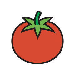 Tomato With Smooth Vector Line Art