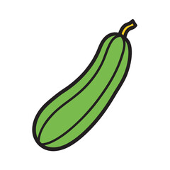 Luffa Vegetable With Soft Vector Outline