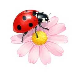 Ladybird landing on a pink flower, delicate moment. Watercolor style on canvas
