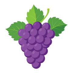  grapes on white background