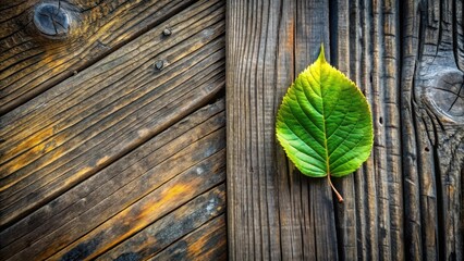 Vibrant Green Leaf Resting on Aged Wooden Planks, a Study in Contrasting Textures and Hues