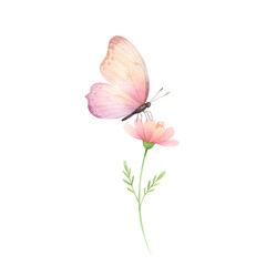 Pink butterfly landing on a pink flower, delicate moment. Watercolor style on canvas
