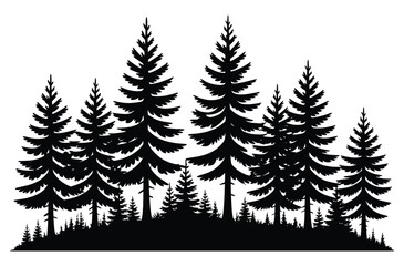 Fototapeta premium Pine Tree Forest Silhouette Black Evergreen Woods Vector Illustration