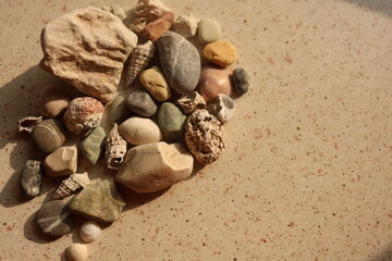 colorful Sea Shells and Pebbles on Sandy Beach - Macro 