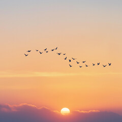 Obraz premium Flock of birds flying in V-formation at sunset, minimal cloud.