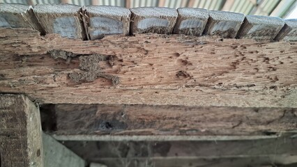 Close-up View of Severe Termite Damage and Decay on Old Wooden Beam, Highlighting Insect...