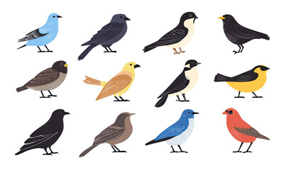 Fototapeta premium Collection of twelve colorful flat minimalist vector birds illustrations featuring various small songbirds in different poses isolated on white background