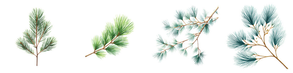 Pine tree branches with evergreen foliage