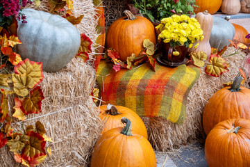 Colorful autumn arrangement featuring pumpkins, vibrant flowers, and hay bales. Seasonal decor...