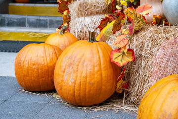 Autumn Pumpkin Display with Hay Bales and Leaves
