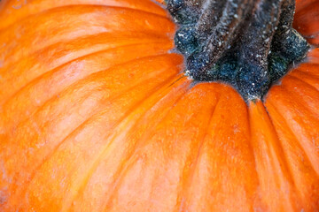 Close-up image of a pumpkin showcasing its vibrant orange surface and dark stem detail. The texture...