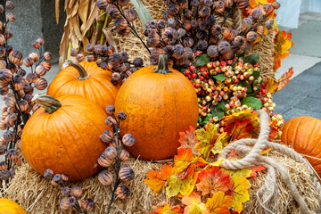 Vibrant arrangement featuring pumpkins, autumn leaves, berries, and hay. Captures the essence of...