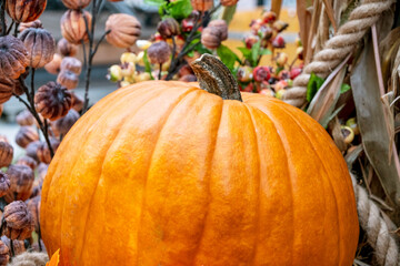 Vibrant Pumpkin Among Autumn Decorations
