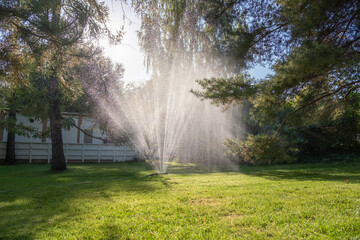 Garden Lawn Sprinkler in Action on a Sunny Day