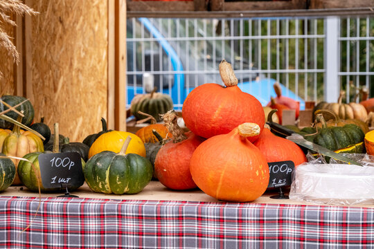 A diverse collection of pumpkins arranged on a market stall, showcasing various colors and sizes. The image captures the vibrant autumn harvest setting and agricultural bounty.