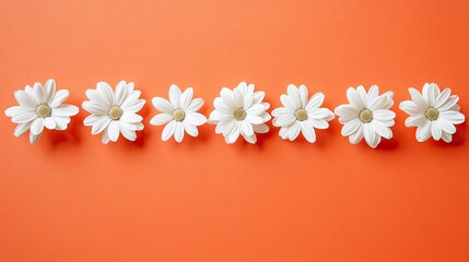 White Daisies on Orange Background