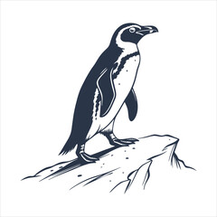 silhouette penguin on white background