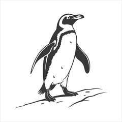 Naklejka premium silhouette penguin on white background