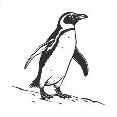 silhouette penguin on white background