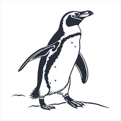 silhouette penguin on white background