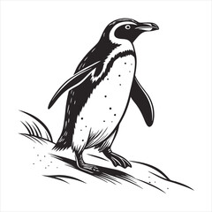silhouette penguin on white background