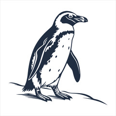 silhouette penguin on white background