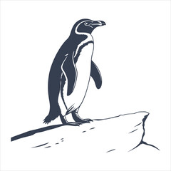 silhouette penguin on white background