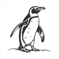 silhouette penguin on white background