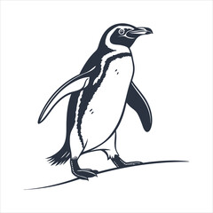 silhouette penguin on white background