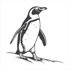 silhouette penguin on white background