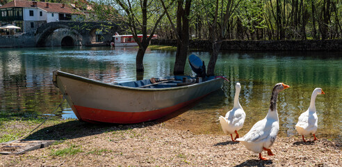 Rijeka Crnojevića village by the river in Montenegro