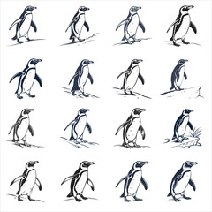 silhouette penguin on white background