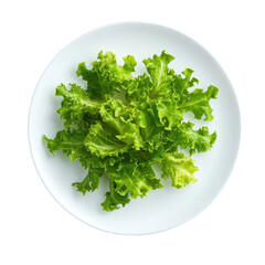 Fototapeta premium Fresh green lettuce arranged neatly on a white plate against a bright Transparent background, lettuce on the white plateisolated on PNG background