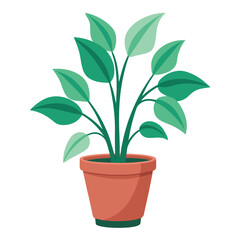 indoor plant on white background