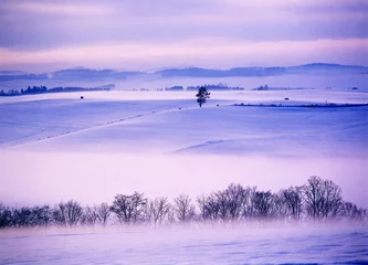 Fototapeten やさしい朝を感じて丘へと登ると、やはり一面にやわらかい彩だった © itoh masako