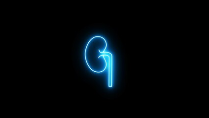 Neon effect Kidney icon background. glowing blue neon line Human kidney icon isolated on a black...